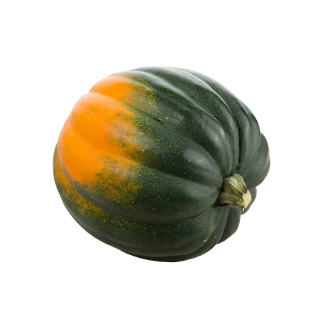 Acorn Squash