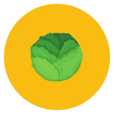 Sunflower Provisions Contact.png